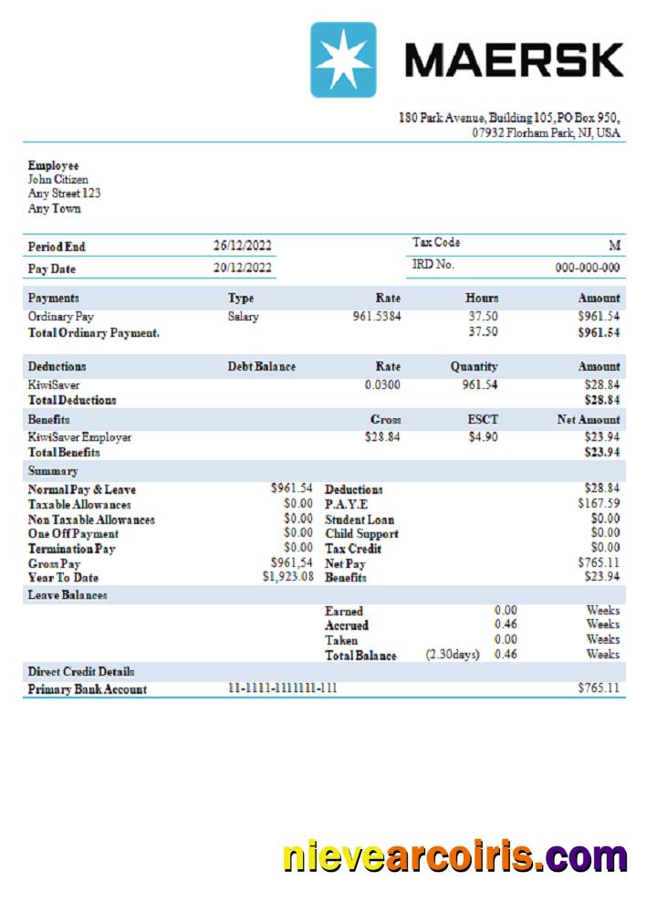 USA Maesk shipping company pay stub
